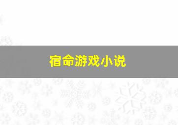 宿命游戏小说