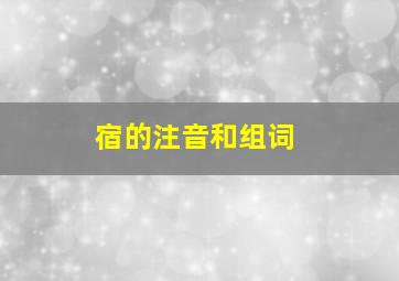 宿的注音和组词