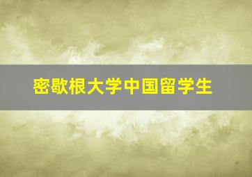 密歇根大学中国留学生