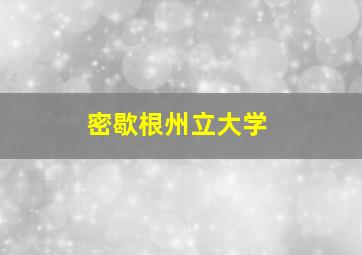 密歇根州立大学