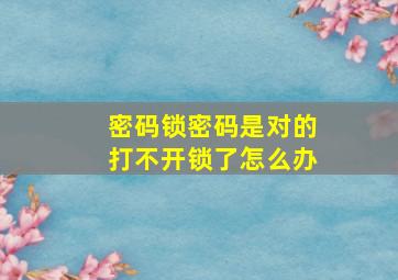 密码锁密码是对的打不开锁了怎么办