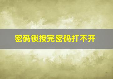 密码锁按完密码打不开