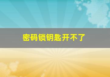 密码锁钥匙开不了