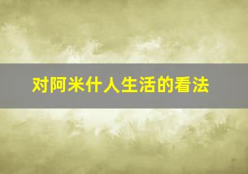 对阿米什人生活的看法