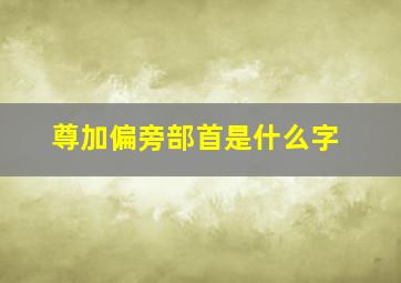 尊加偏旁部首是什么字