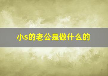 小s的老公是做什么的