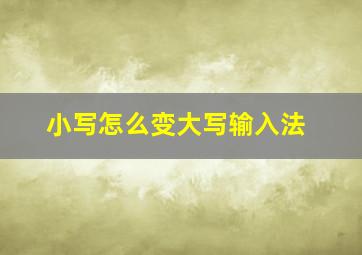 小写怎么变大写输入法