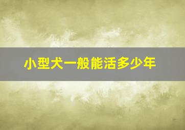 小型犬一般能活多少年