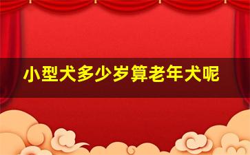 小型犬多少岁算老年犬呢