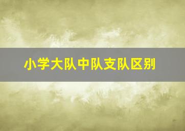 小学大队中队支队区别