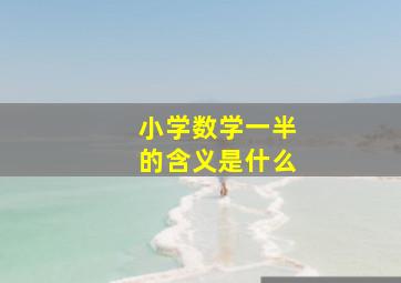 小学数学一半的含义是什么