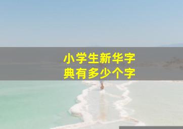 小学生新华字典有多少个字