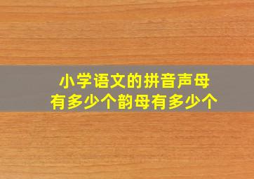 小学语文的拼音声母有多少个韵母有多少个