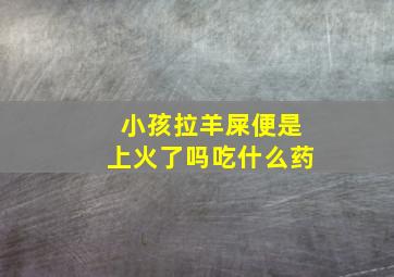 小孩拉羊屎便是上火了吗吃什么药