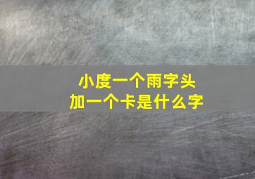 小度一个雨字头加一个卡是什么字