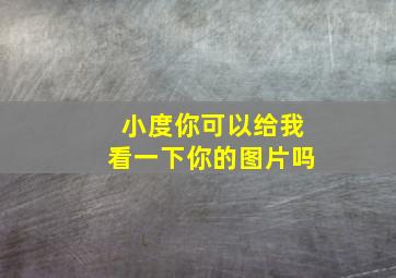 小度你可以给我看一下你的图片吗