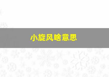 小旋风啥意思