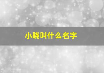 小晓叫什么名字