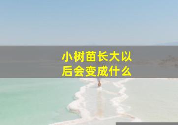 小树苗长大以后会变成什么