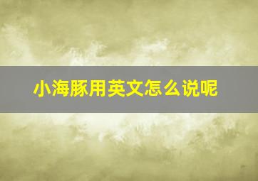 小海豚用英文怎么说呢