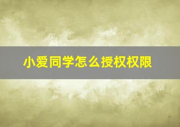 小爱同学怎么授权权限