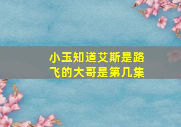 小玉知道艾斯是路飞的大哥是第几集