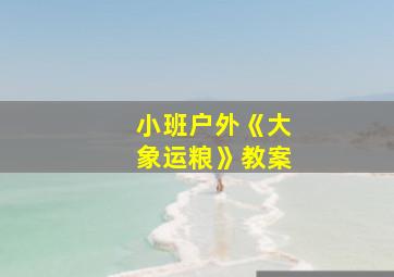 小班户外《大象运粮》教案