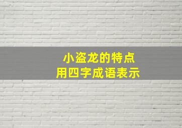 小盗龙的特点用四字成语表示