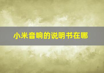 小米音响的说明书在哪