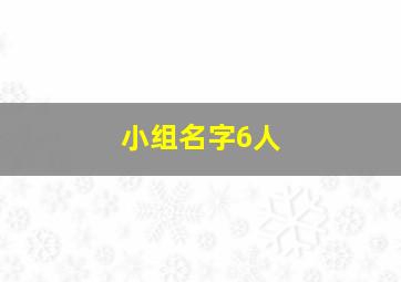 小组名字6人