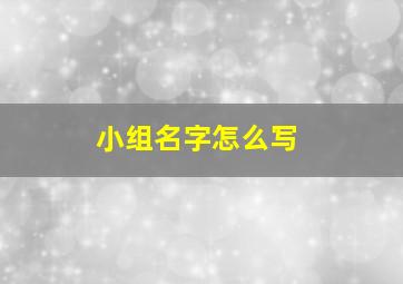 小组名字怎么写