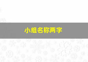 小组名称两字