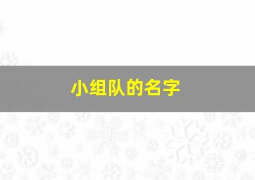 小组队的名字