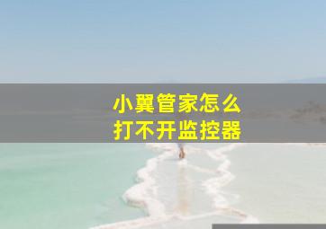 小翼管家怎么打不开监控器