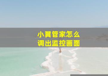 小翼管家怎么调出监控画面