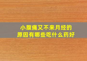 小腹痛又不来月经的原因有哪些吃什么药好