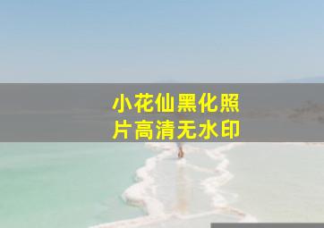 小花仙黑化照片高清无水印