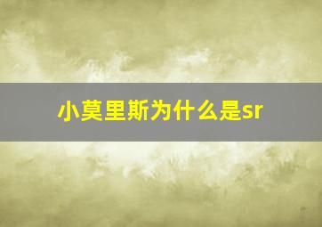 小莫里斯为什么是sr