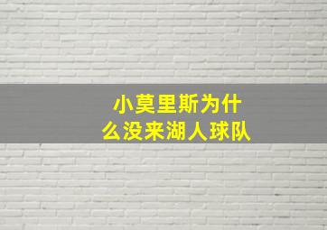 小莫里斯为什么没来湖人球队