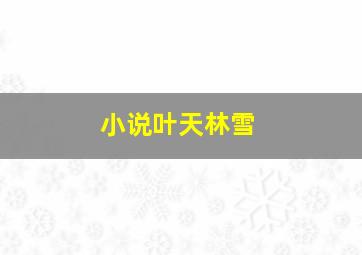 小说叶天林雪