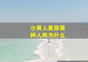 小黄人是指黄种人吗为什么