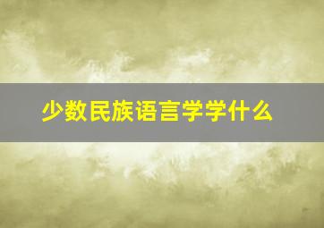 少数民族语言学学什么