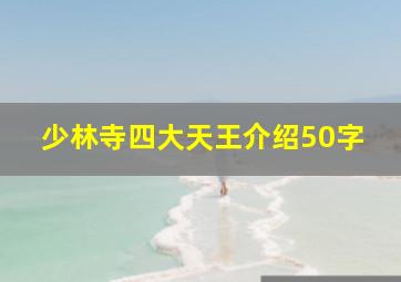 少林寺四大天王介绍50字