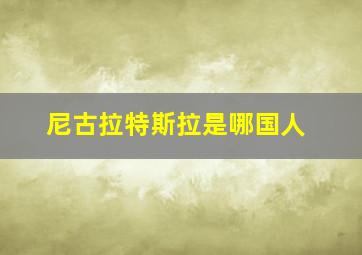 尼古拉特斯拉是哪国人