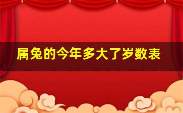 属兔的今年多大了岁数表