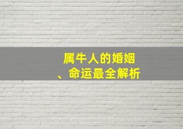 属牛人的婚姻、命运最全解析