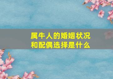 属牛人的婚姻状况和配偶选择是什么