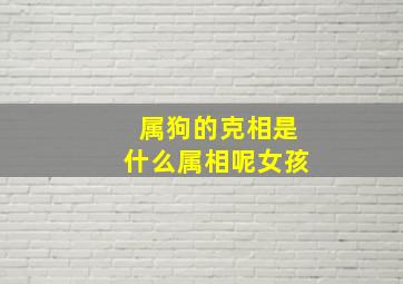 属狗的克相是什么属相呢女孩