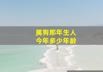 属狗那年生人今年多少年龄