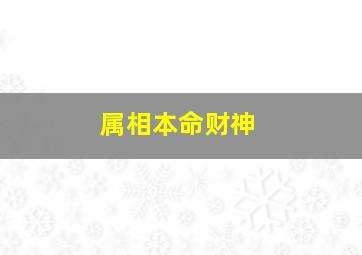 属相本命财神